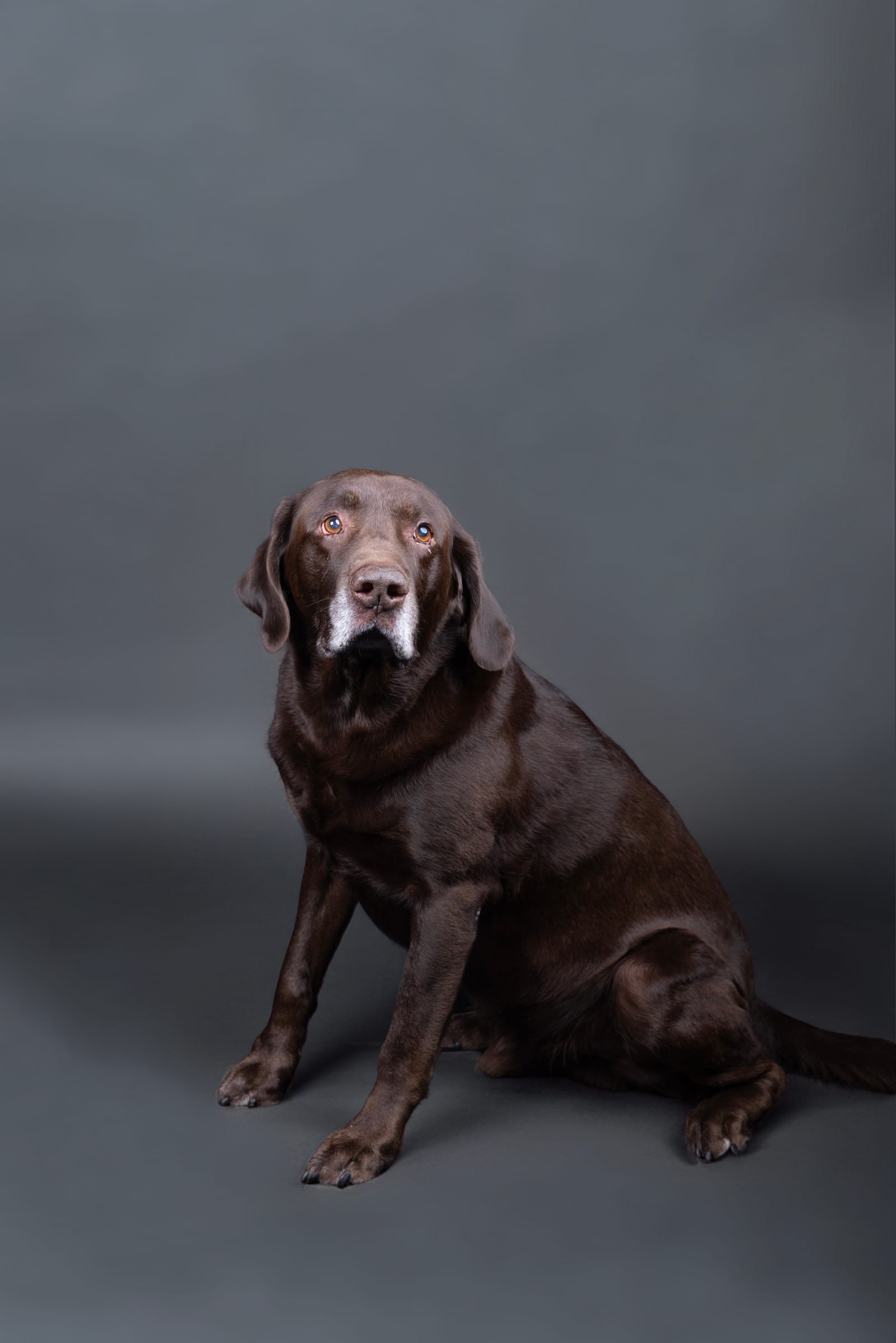 Roscoe
